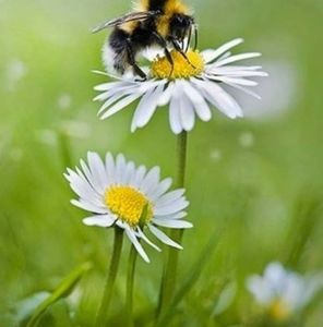 Meet your Posher, Vickie